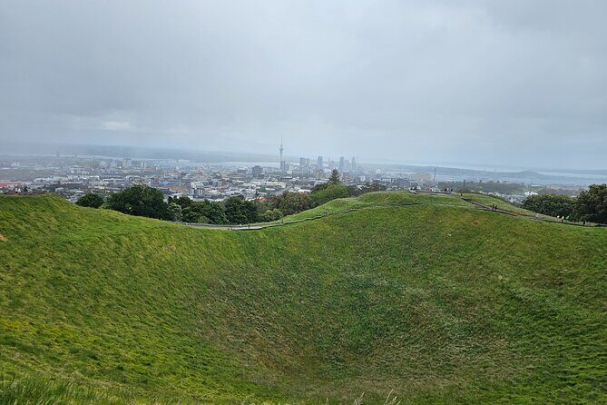 Auckland City Half Day Tour - Good To Know
