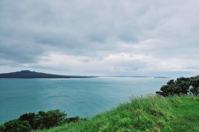 Auckland City Half Day Tour - Who Would Appreciate This Tour?