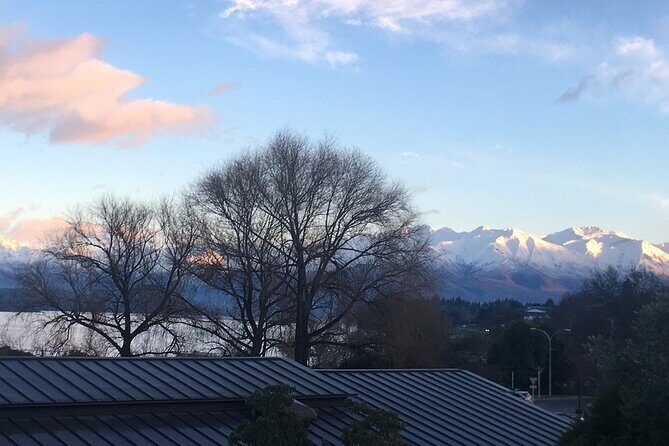 Auckland City Half Day Tour - FAQ