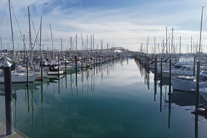 Auckland City Halfday Guide Tour - A Closer Look at the Itinerary