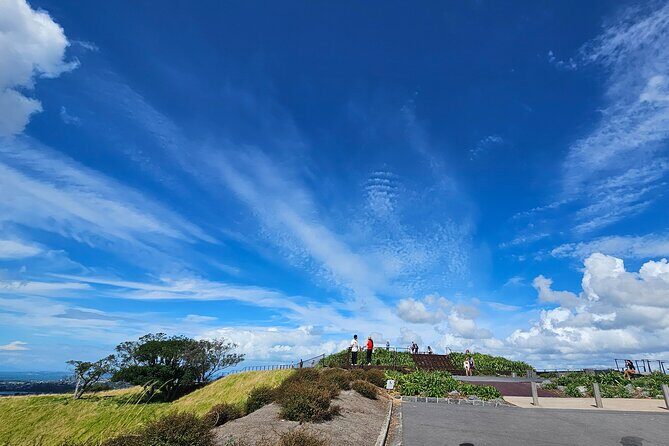 Auckland City Halfday Private Tour - In The Sum Up