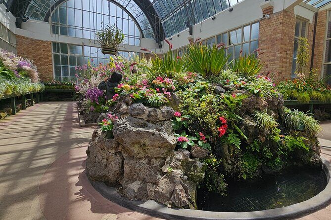 Auckland City Halfday Tour - Who Should Consider This Tour?