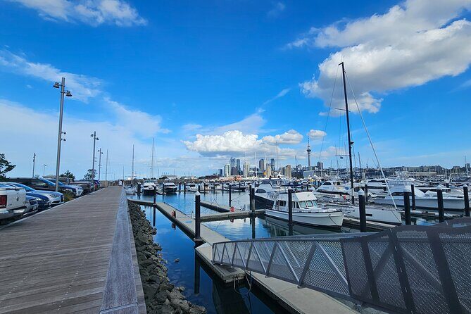 Auckland City Halfday Tour - Final Thoughts