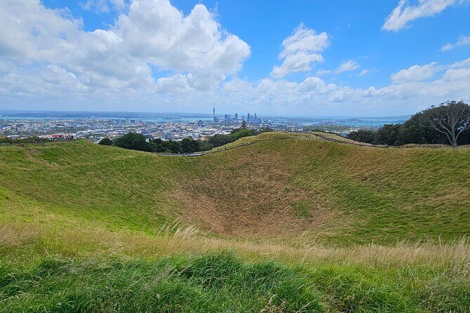 Auckland City Highlight Halfday Tour - What to Expect from This Auckland Tour