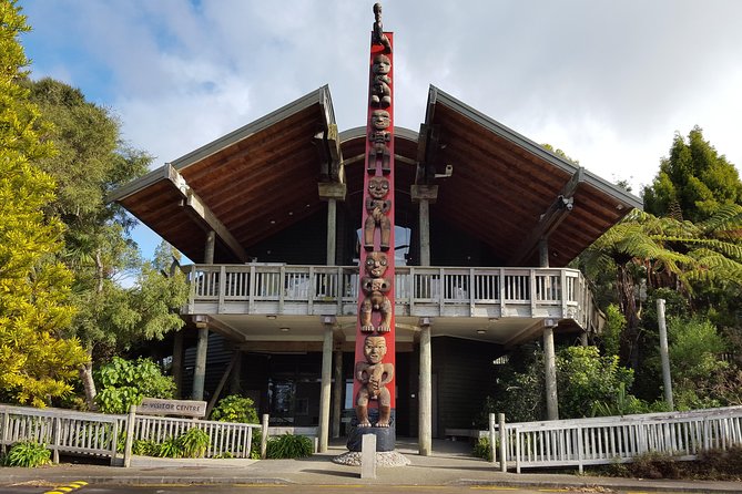 Auckland City Highlights, Afternoon Piha Beach & Rainforest Tour - Tour Highlights