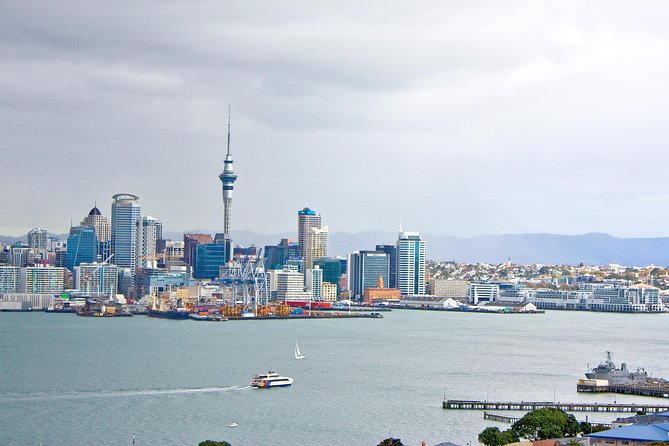 Auckland City Highlights, Afternoon Piha Beach & Rainforest Tour - Positive Reviews