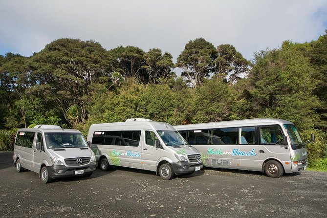 Auckland City Highlights, Afternoon Piha Beach & Rainforest Tour - Variety of Activities