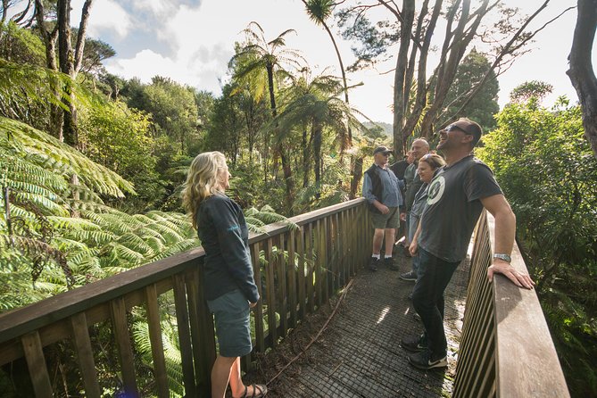 Auckland City Highlights, Afternoon Piha Beach & Rainforest Tour - The Sum Up