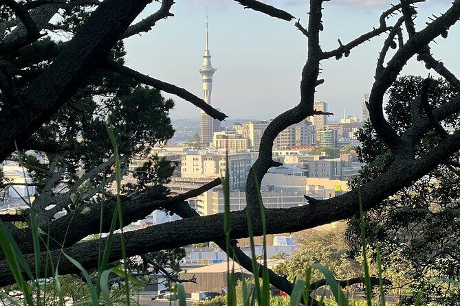 Auckland City Highlights and Hidden Gems Half Day Tour - Good To Know