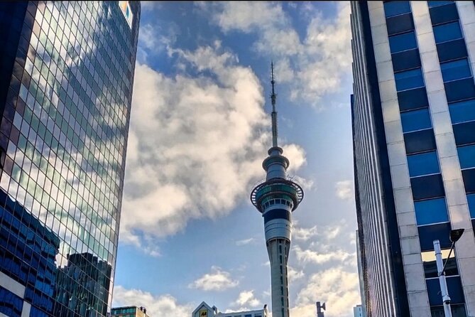 Auckland City Highlights Day Tour - Reviews