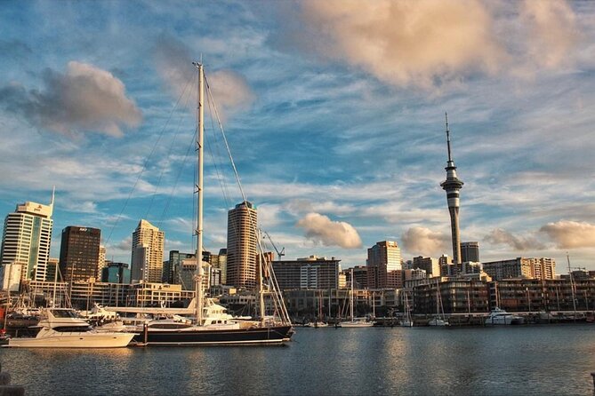 Auckland City Highlights Day Tour - Tour Highlights