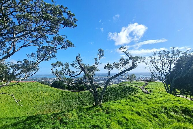 Auckland City Highlights Day Tour - Additional Benefits