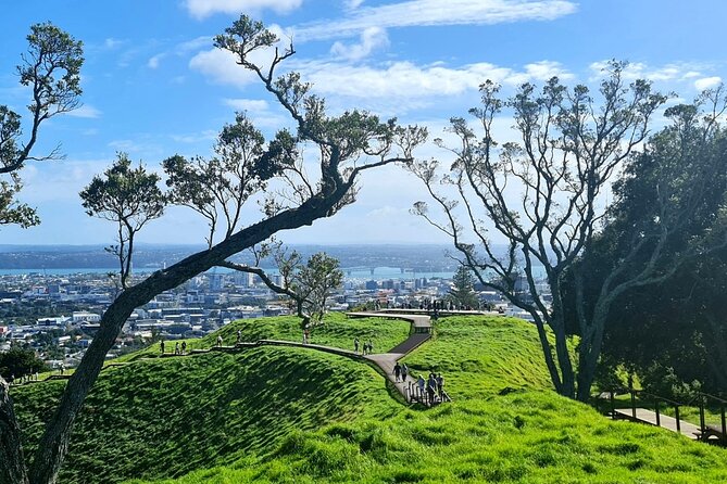 Auckland City Highlights Day Tour - Recommendations for Activities and Dining