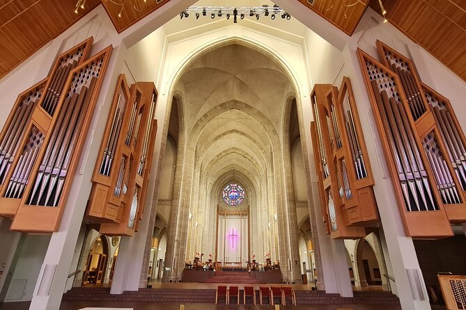 Auckland City Highlights Day Tour - Assistance in Trip Planning