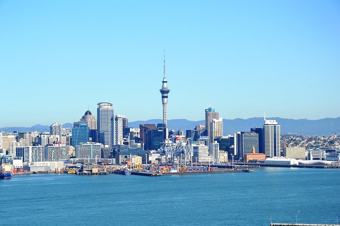 Auckland City Highlights Experience - Fully Guided Small Group Day Tour - Tour Details and Pricing