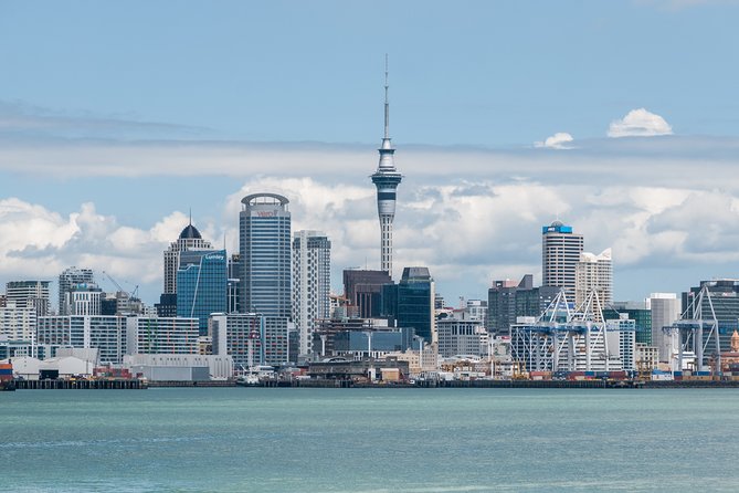 Auckland City Highlights Experience - Fully Guided Small Group Day Tour - Lowest Price Guarantee