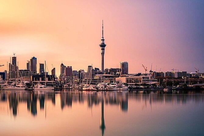 Auckland City Highlights Full Day Tour - Tour Itinerary