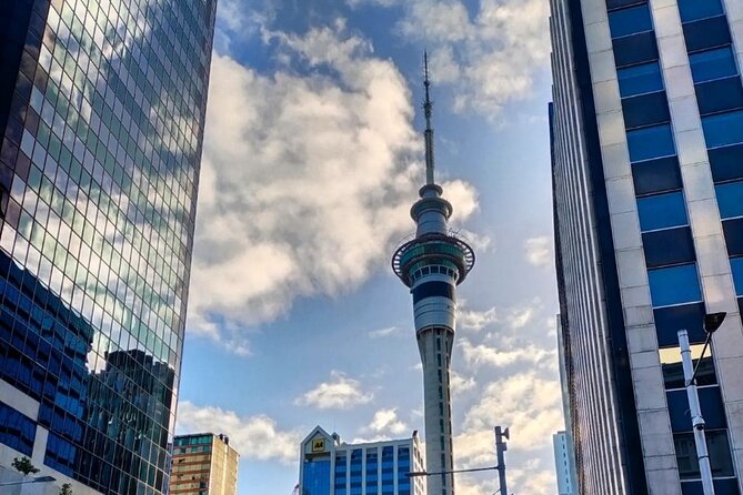 Auckland City Highlights Full Day Tour - Devonport