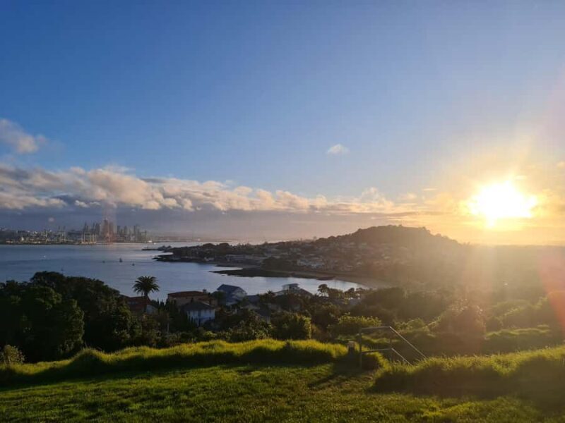 Auckland City Highlights Half Day Tour - What to Expect from the Tour