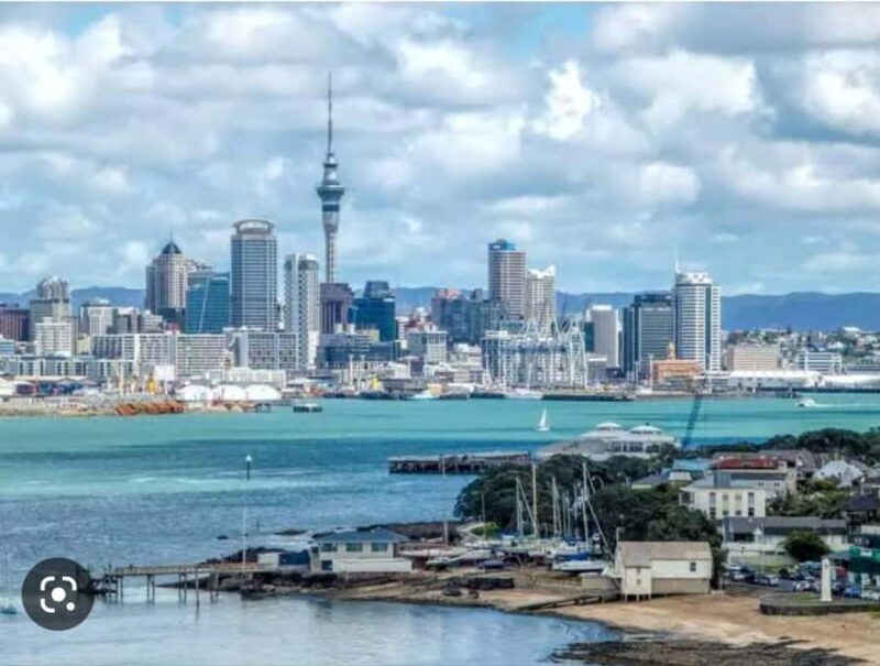 Auckland City Highlights Half Day Tour - Why You Should Consider This Tour