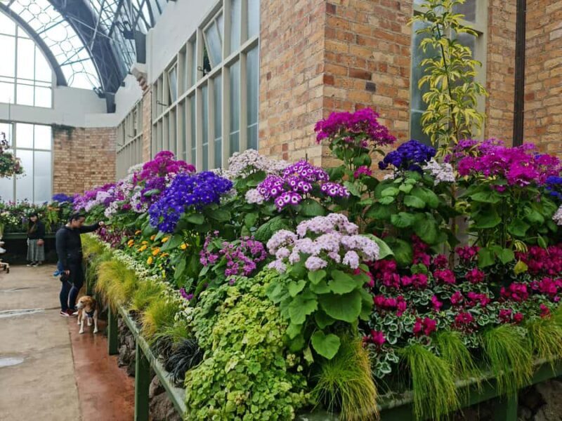 Auckland City Highlights Half Day Tour - The Sum Up