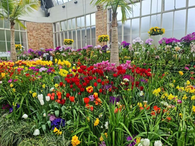 Auckland City Highlights Half Day Tour - FAQ