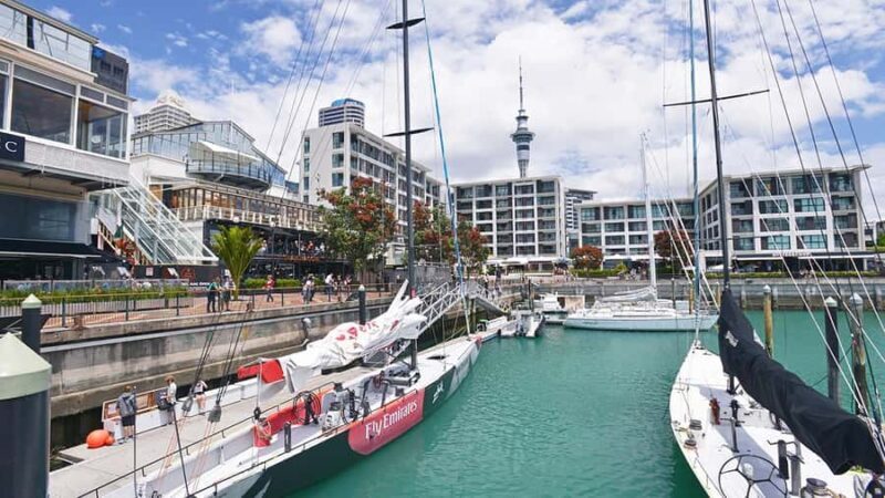 Auckland City Highlights Small-Group Tour (Half-Day) - Good To Know
