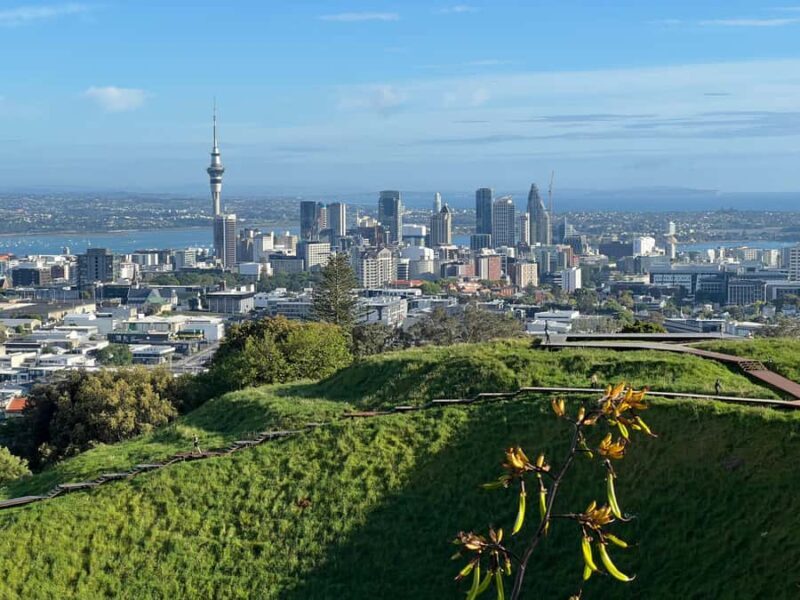 Auckland CITY HIGHLIGHTS Tour with Hotel Pickup - Good To Know