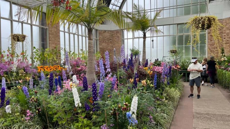 Auckland CITY HIGHLIGHTS Tour with Hotel Pickup - Real Insights from Travelers