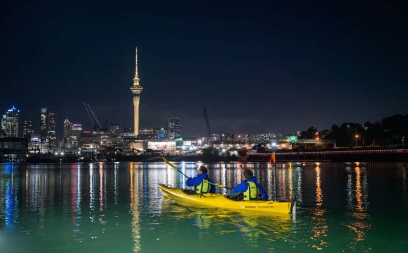 Auckland: City Lights Night Kayak Tour - Good To Know  