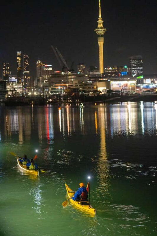 Auckland: City Lights Night Kayak Tour - A Detailed Look at the Experience  