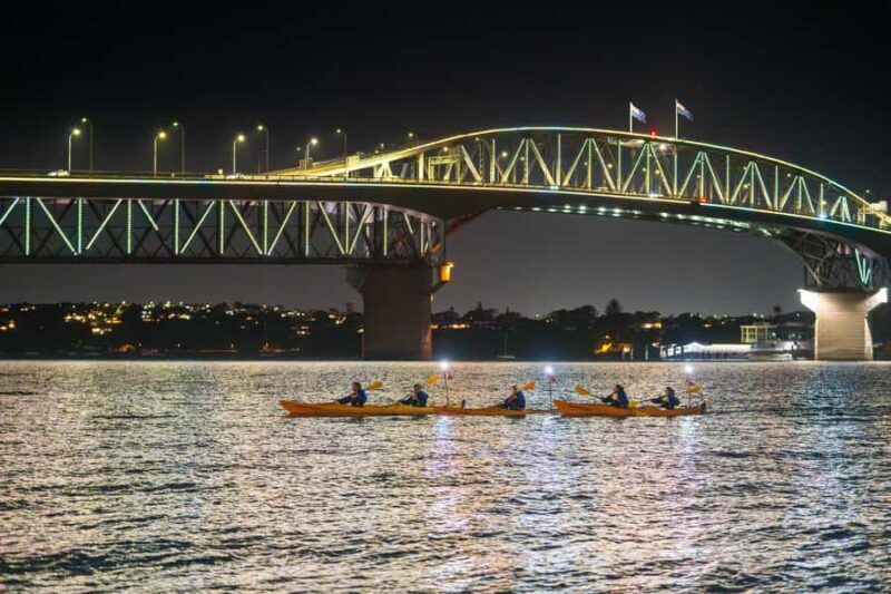 Auckland: City Lights Night Kayak Tour - FAQ  