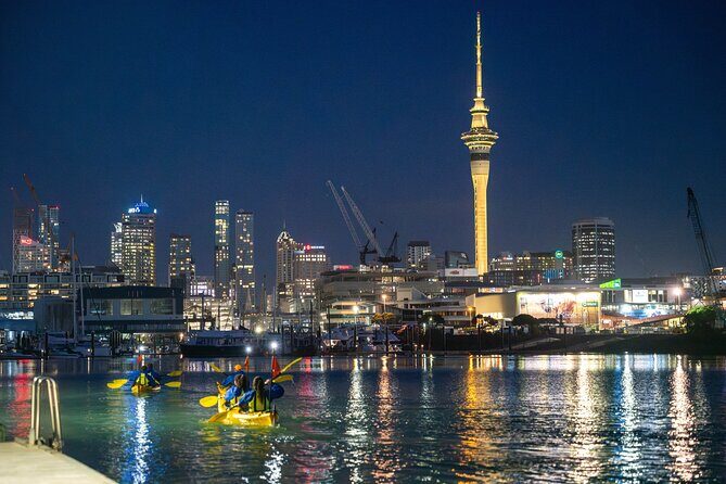 Auckland City Lights Night Kayaking Tour - Good To Know