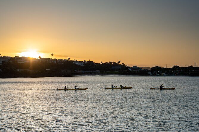Auckland City Lights Night Kayaking Tour - A Detailed Look at the Experience