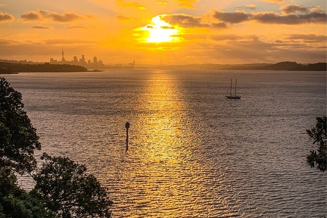Auckland City Of Sails Half Day Tour - Meeting and Pickup Information