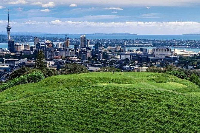 Auckland City Private Tour for Couples. Be Chauffeur Driven With Added Extras. - Tour Highlights