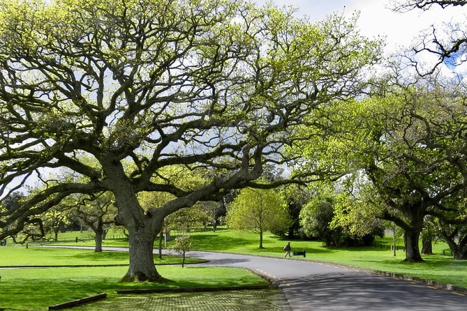 Auckland City Private Tour for Couples. Be Chauffeur Driven With Added Extras. - Reviews