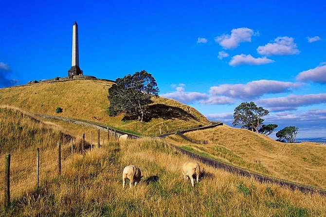 Auckland City Private Tour for Couples. Be Chauffeur Driven With Added Extras. - Contact Information