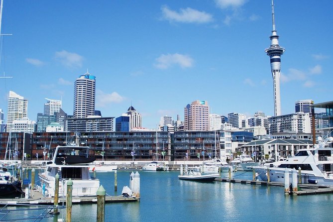 Auckland City Private Tour for Couples. Be Chauffeur Driven With Added Extras. - The Sum Up
