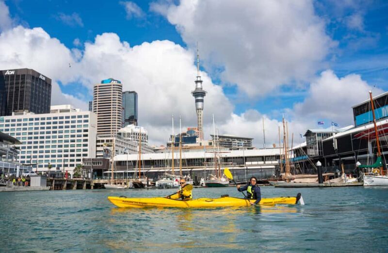 Auckland: City Scenes Kayak Tour - A Beautiful Introduction to Auckland’s Waterfront