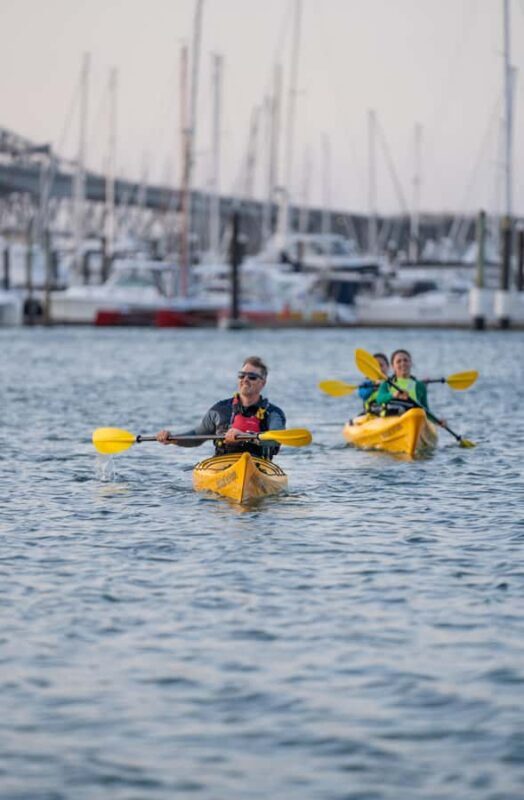 Auckland: City Scenes Kayak Tour - Real Insights from Past Participants
