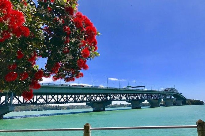 Auckland City Scenic Tour - Discover Auckland City