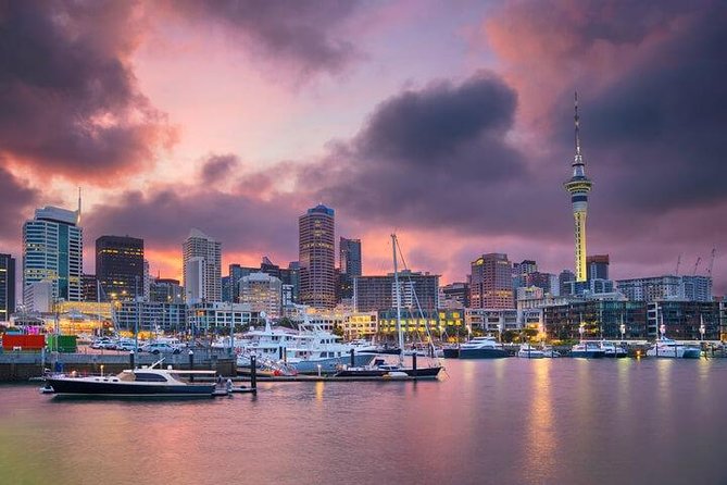 Auckland City Scenic Tour - The Sum Up