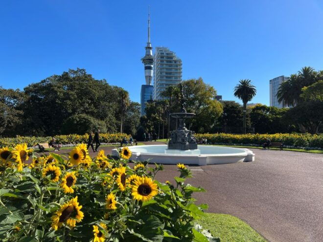 Auckland City Sightseeing - Auckland City Sightseeing Highlights