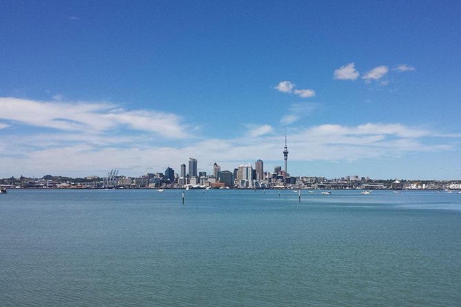 Auckland City Small-Group Morning Discovery Tour - Excellent Reviews and Traveler Feedback