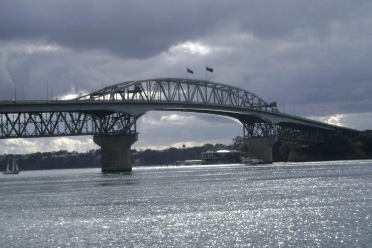 Auckland City Small Group Morning Discovery Tour - Tour Details