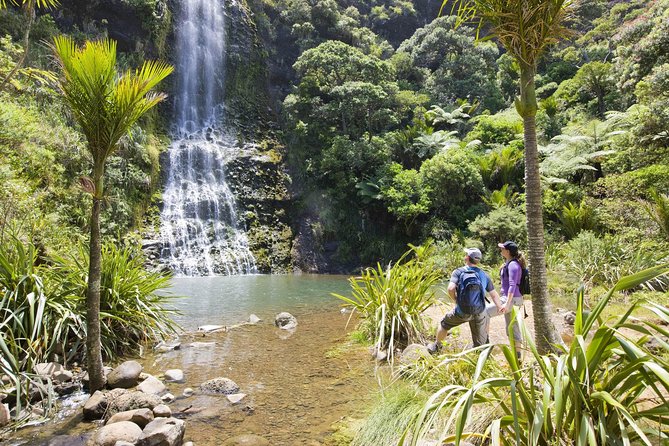 Auckland City, West Coast, & Piha Beach Private Full-Day Tour - Background