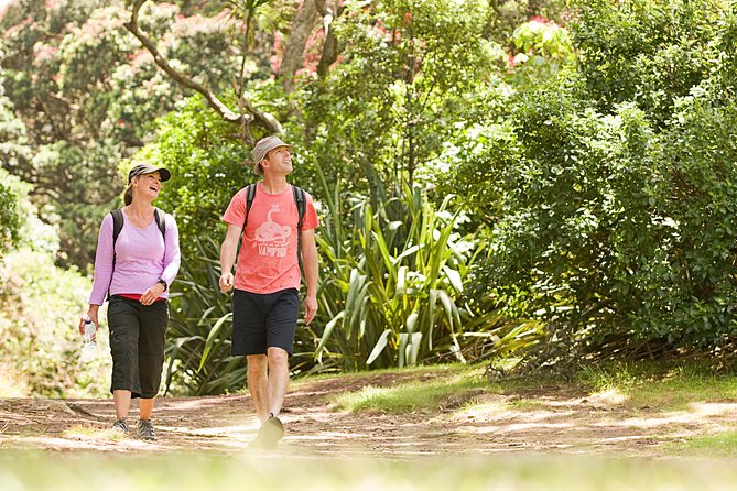 Auckland City, West Coast, & Piha Beach Private Full-Day Tour - Pricing and Availability