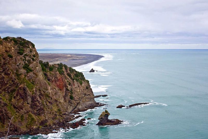 Auckland Coast and Rainforest Day Tour - What the Price Gets You