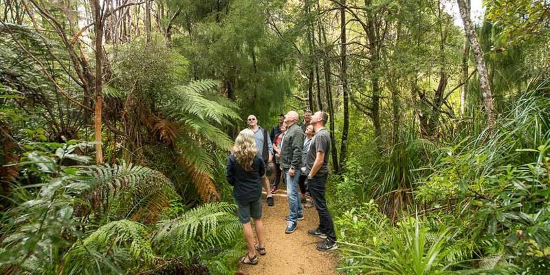 Auckland Coast and Rainforest Day Tour - Weather, Trail Changes, and Fitness